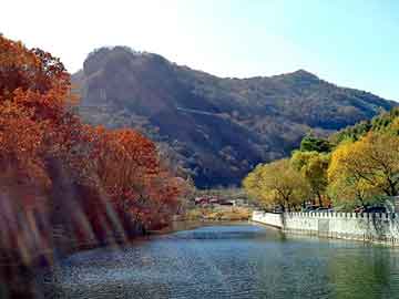 新澳门二四六天天彩，凉山物流